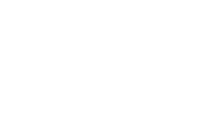 OGZ Dirigindo Emoções